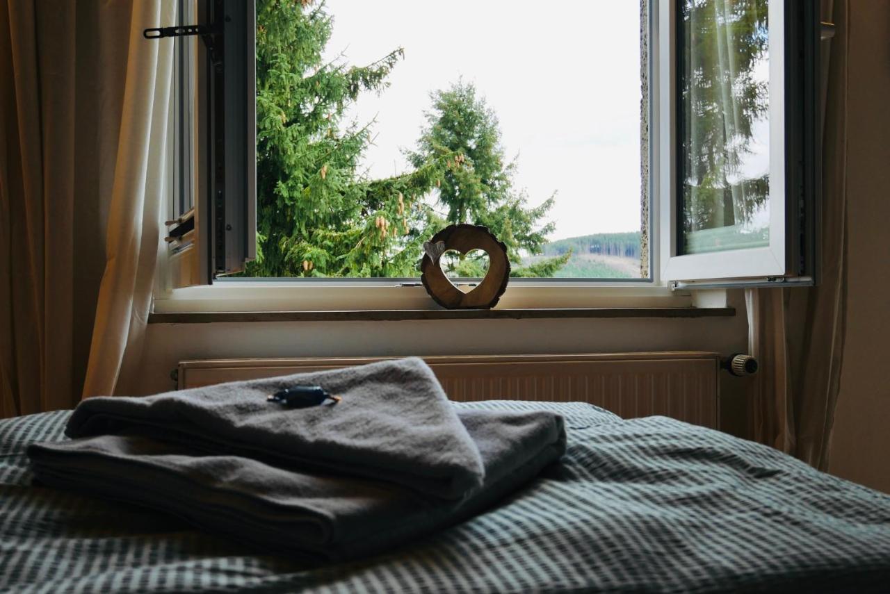 Waldapart Willingen Willingen  Dış mekan fotoğraf